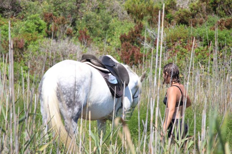 Ranch-sandiego-equestre-sauvages-Bonifacio-Corse.jpg